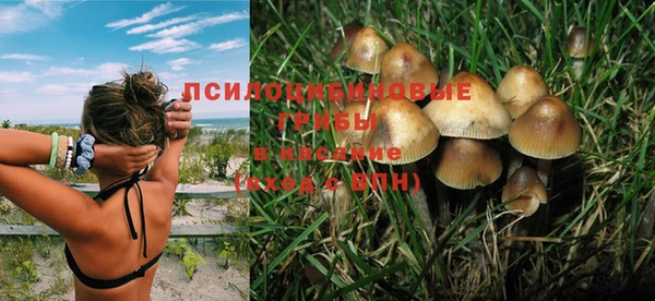 дмт Алексин