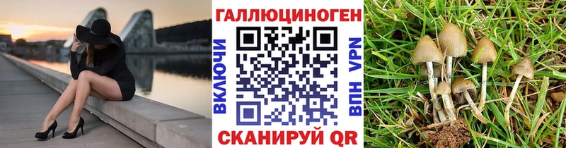 Галлюциногенные грибы Psilocybe  kraken зеркало  Зеленоградск 