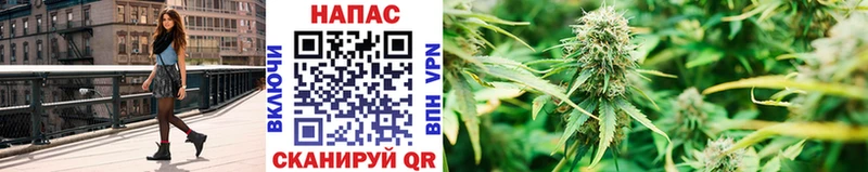 Каннабис Bruce Banner  Зеленоградск 
